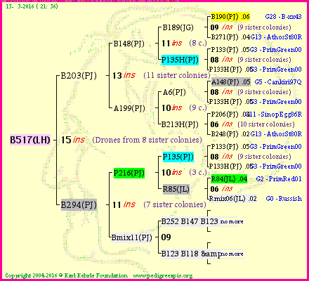 Pedigree of B517(LH) :
four generations presented