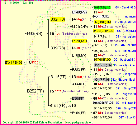 Pedigree of B517(RS) :
four generations presented<br />it's temporarily unavailable, sorry!