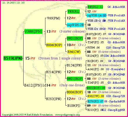 Pedigree of B519(JPN) :
four generations presented