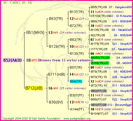 Pedigree of B52(AKO) :
four generations presented<br />it's temporarily unavailable, sorry!