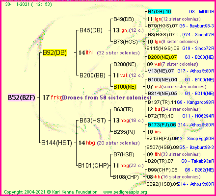 Pedigree of B52(BZF) :
four generations presented
it's temporarily unavailable, sorry!