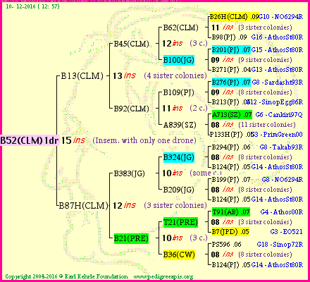 Pedigree of B52(CLM)1dr :
four generations presented<br />it's temporarily unavailable, sorry!