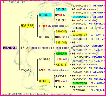 Pedigree of B52(DSU) :
four generations presented<br />it's temporarily unavailable, sorry!