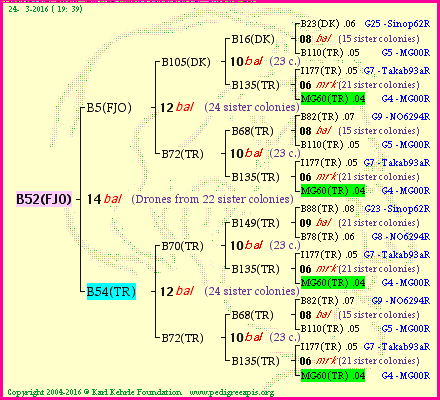 Pedigree of B52(FJO) :
four generations presented
it's temporarily unavailable, sorry!