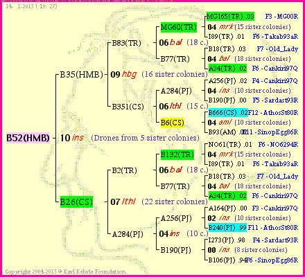 Pedigree of B52(HMB) :
four generations presented