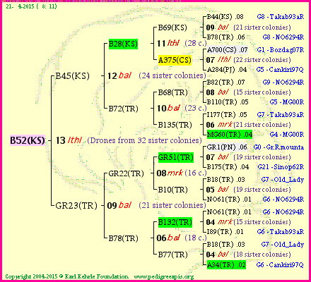 Pedigree of B52(KS) :
four generations presented