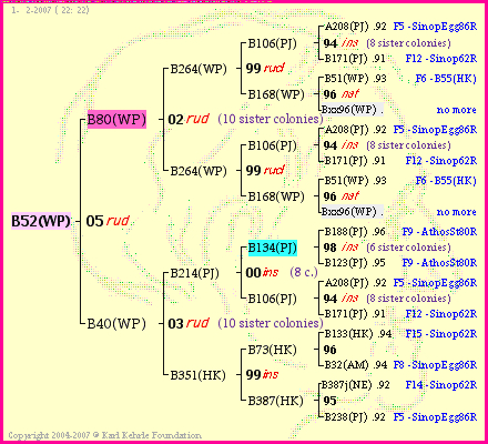 Pedigree of B52(WP) :
four generations presented