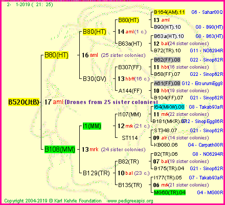 Pedigree of B520(JtB) :
four generations presented<br />it's temporarily unavailable, sorry!