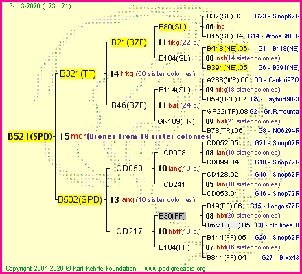 Pedigree of B521(SPD) :
four generations presented<br />it's temporarily unavailable, sorry!