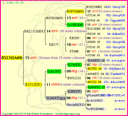 Pedigree of B522(GMH) :
four generations presented