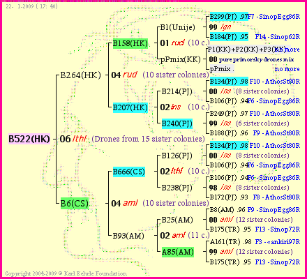 Pedigree of B522(HK) :
four generations presented