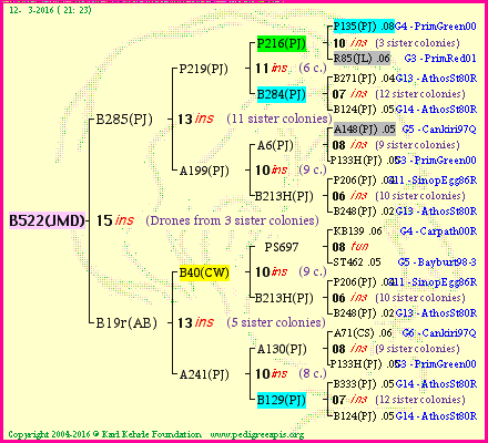 Pedigree of B522(JMD) :
four generations presented