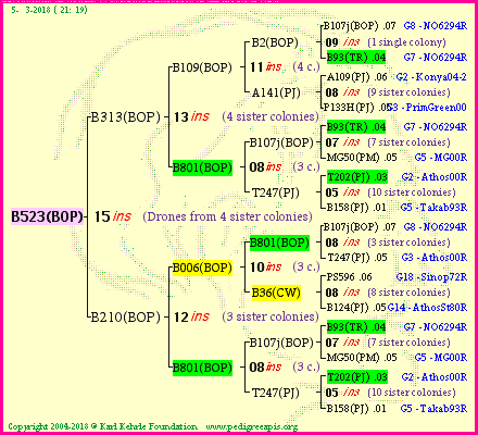 Pedigree of B523(BOP) :
four generations presented<br />it's temporarily unavailable, sorry!