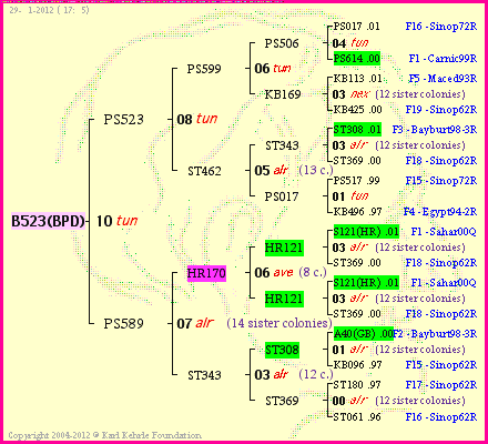 Pedigree of B523(BPD) :
four generations presented