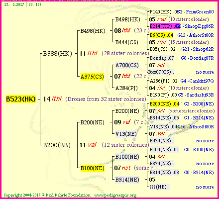 Pedigree of B523(HK) :
four generations presented