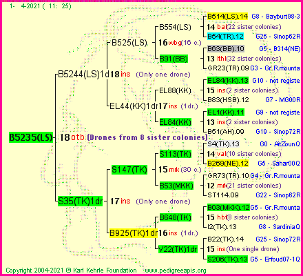 Pedigree of B5235(LS) :
four generations presented
it's temporarily unavailable, sorry!