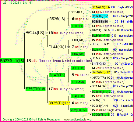 Pedigree of B5235-1(LS) :
four generations presented
it's temporarily unavailable, sorry!