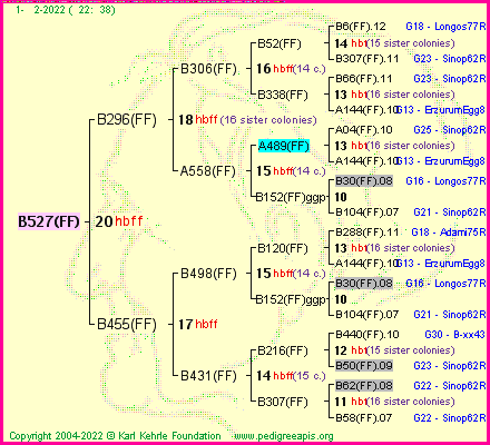 Pedigree of B527(FF) :
four generations presented
it's temporarily unavailable, sorry!