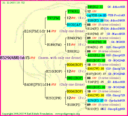 Pedigree of B529(ABR)1dr :
four generations presented<br />it's temporarily unavailable, sorry!