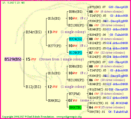 Pedigree of B529(BS) :
four generations presented<br />it's temporarily unavailable, sorry!