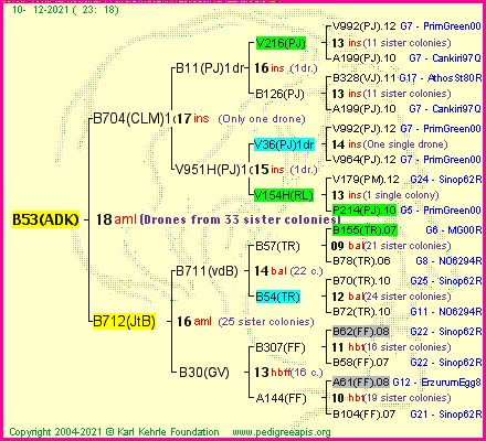 Pedigree of B53(ADK) :
four generations presented
it's temporarily unavailable, sorry!