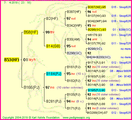 Pedigree of B53(HF) :
four generations presented
it's temporarily unavailable, sorry!