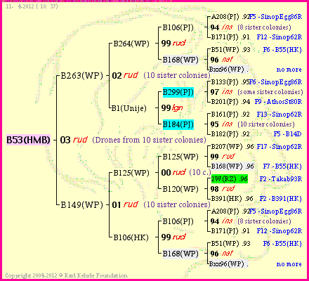 Pedigree of B53(HMB) :
four generations presented
it's temporarily unavailable, sorry!