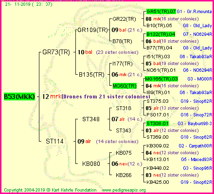 Pedigree of B53(MKK) :
four generations presented
it's temporarily unavailable, sorry!