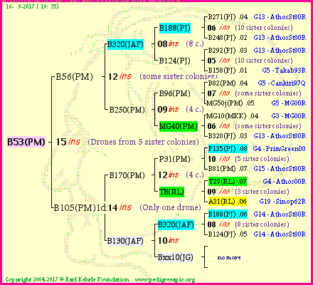 Pedigree of B53(PM) :
four generations presented
it's temporarily unavailable, sorry!