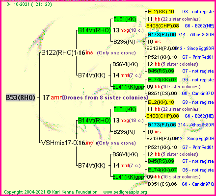 Pedigree of B53(RHO) :
four generations presented
it's temporarily unavailable, sorry!