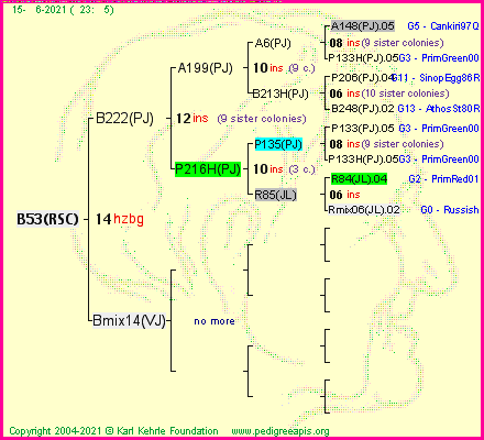 Pedigree of B53(RSC) :
four generations presented
it's temporarily unavailable, sorry!