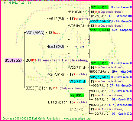 Pedigree of B53(SGS) :
four generations presented
it's temporarily unavailable, sorry!