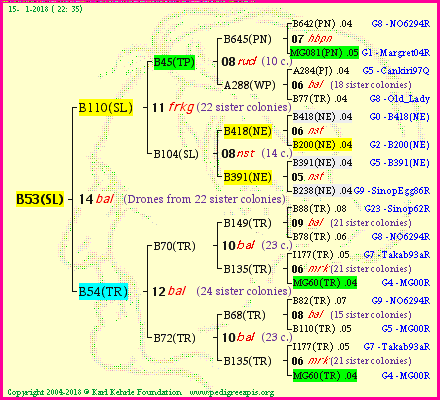 Pedigree of B53(SL) :
four generations presented