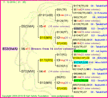 Pedigree of B53(SMA) :
four generations presented<br />it's temporarily unavailable, sorry!