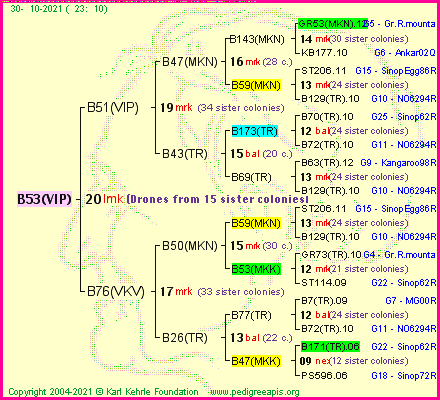 Pedigree of B53(VIP) :
four generations presented
it's temporarily unavailable, sorry!