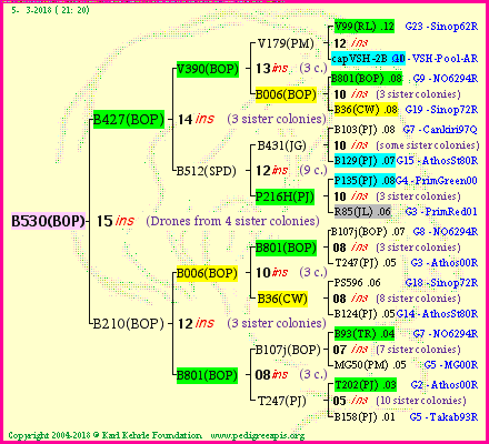 Pedigree of B530(BOP) :
four generations presented