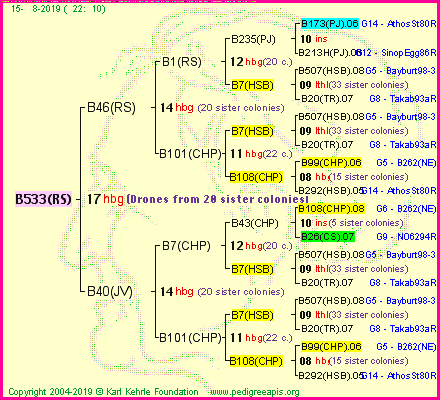 Pedigree of B533(RS) :
four generations presented
it's temporarily unavailable, sorry!