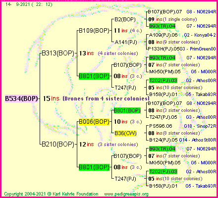 Pedigree of B534(BOP) :
four generations presented
it's temporarily unavailable, sorry!