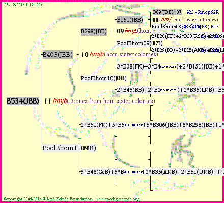 Pedigree of B534(JBB) :
four generations presented