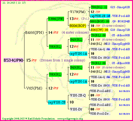 Pedigree of B534(JPN) :
four generations presented