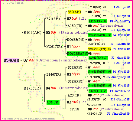 Pedigree of B54(AH) :
four generations presented
it's temporarily unavailable, sorry!