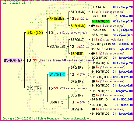 Pedigree of B54(ARG) :
four generations presented
it's temporarily unavailable, sorry!