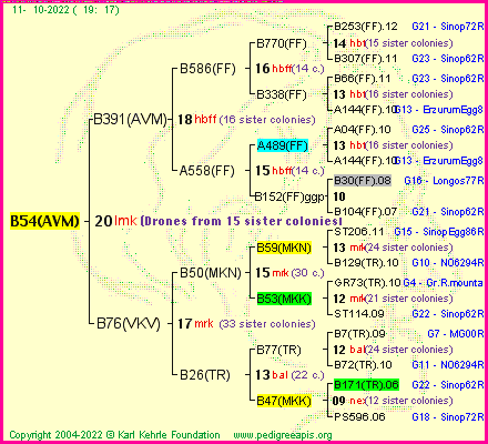 Pedigree of B54(AVM) :
four generations presented
it's temporarily unavailable, sorry!