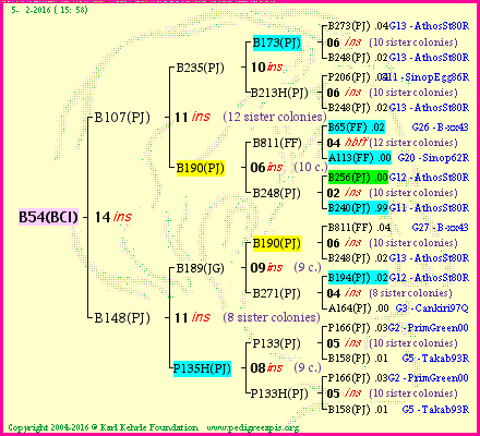 Pedigree of B54(BCI) :
four generations presented