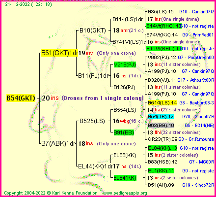 Pedigree of B54(GKT) :
four generations presented
it's temporarily unavailable, sorry!