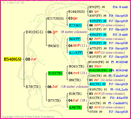 Pedigree of B54(HGS) :
four generations presented