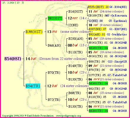 Pedigree of B54(HST) :
four generations presented