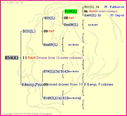 Pedigree of B54(JL) :
four generations presented