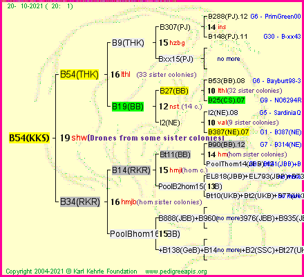 Pedigree of B54(KKS) :
four generations presented
it's temporarily unavailable, sorry!