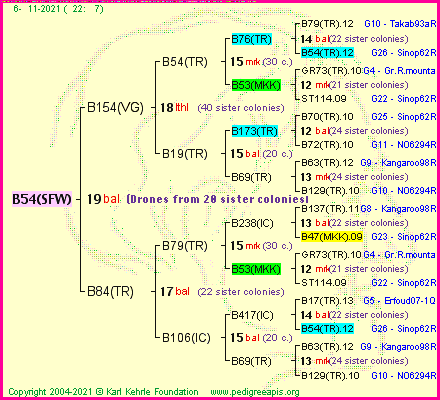 Pedigree of B54(SFW) :
four generations presented
it's temporarily unavailable, sorry!